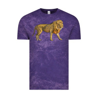 Cloud Purple lion Vintage Tee - LillyAllenDesigns