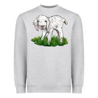 Heather Grey Baby Angora Goat Heavyweight Sweatshirt - LillyAllenDesigns