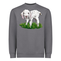 Baby Angora Goat Heavyweight Sweatshirt | Teevron