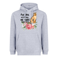 Heather Grey Are you kitten me right meow Heavyweight Hoodie - Bettercallsaul