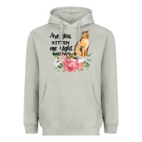 Moon Dust Are you kitten me right meow Heavyweight Hoodie - Bettercallsaul