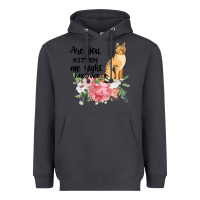 Smoke Are you kitten me right meow Heavyweight Hoodie - Bettercallsaul
