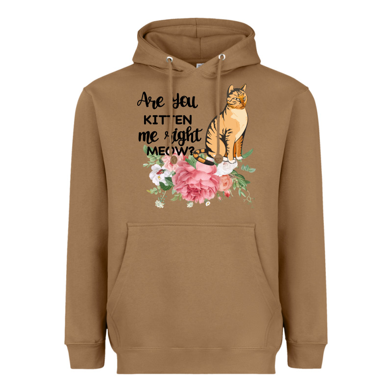 Are You Kitten Me Right Meow Heavyweight Hoodie by Bettercallsaul | Teevron
