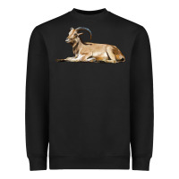 Black Spanish Goat Heavyweight Sweatshirt - LillyAllenDesigns