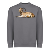 Storm Spanish Goat Heavyweight Sweatshirt - LillyAllenDesigns
