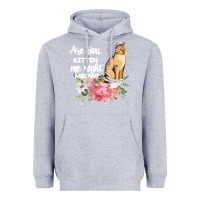 Heather Grey Cat Maine coon gift kidding kitten meow pussycat Heavyweight Hoodie - Bettercallsaul