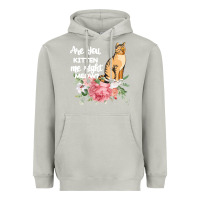 Moon Dust Cat Maine coon gift kidding kitten meow pussycat Heavyweight Hoodie - Bettercallsaul