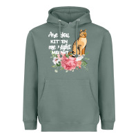 Sage Cat Maine coon gift kidding kitten meow pussycat Heavyweight Hoodie - Bettercallsaul