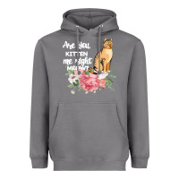 Storm Cat Maine coon gift kidding kitten meow pussycat Heavyweight Hoodie - Bettercallsaul