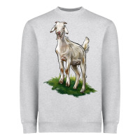Heather Grey Kiko Goat Heavyweight Sweatshirt - LillyAllenDesigns