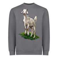 Storm Kiko Goat Heavyweight Sweatshirt - LillyAllenDesigns