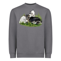 Storm two baby nigerian dwarf goat Heavyweight Sweatshirt - LillyAllenDesigns
