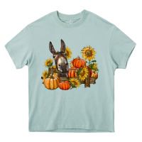 Arona donkey sunflower and pumpkin farm Heavy Core Tee - BarkalooDesign