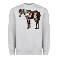 Mustang Horse Heavyweight Sweatshirt | Teevron