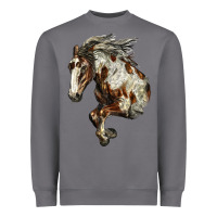 Storm Mustang Horse Heavyweight Sweatshirt - LillyAllenDesigns