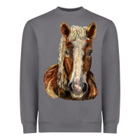 Storm Belgian Horse Heavyweight Sweatshirt - LillyAllenDesigns