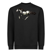 American Paint Horse Heavyweight Sweatshirt | Teevron