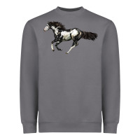 Storm American Paint Horse Heavyweight Sweatshirt - LillyAllenDesigns