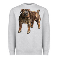 Heather Grey Duroc Pig Heavyweight Sweatshirt - LillyAllenDesigns