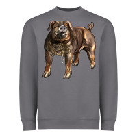 Storm Duroc Pig Heavyweight Sweatshirt - LillyAllenDesigns