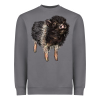 Storm Baby Hampshire Pig Heavyweight Sweatshirt - LillyAllenDesigns