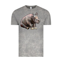 Cloud Rock Baby Rhino Illustrations Vintage Tee - LillyAllenDesigns