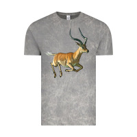 Cloud Rock Impala Antelope Illustrations Vintage Tee - LillyAllenDesigns