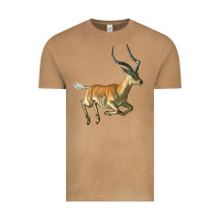 Vintage Camel Impala Antelope Illustrations Vintage Tee - LillyAllenDesigns