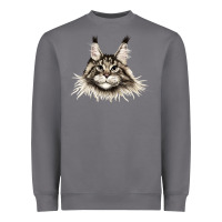 Storm Maine Coon Cat Face Heavyweight Sweatshirt - LillyAllenDesigns