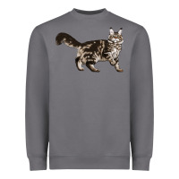 Storm Maine Coon Cat Heavyweight Sweatshirt - LillyAllenDesigns