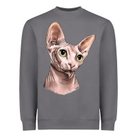 Storm Sphynx Cat Heavyweight Sweatshirt - LillyAllenDesigns