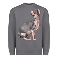 Storm Sphynx Cat Heavyweight Sweatshirt - LillyAllenDesigns
