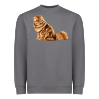 Storm Persian Cat Heavyweight Sweatshirt - LillyAllenDesigns
