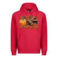 Cardinal Tis' the season American Football Premium Hoodie - NancyCooperArtShop