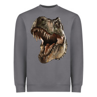 Storm Tyrannosaurus T Rex Face Heavyweight Sweatshirt - LillyAllenDesigns