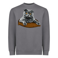 Storm Scottish Fold Heavyweight Sweatshirt - LillyAllenDesigns