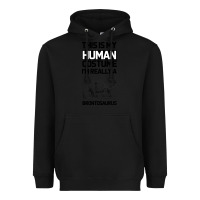 Black This Is My Human Costume Im Really A Brachiosaurus Heavyweight Hoodie - Bettercallsaul