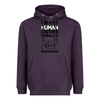 Plum This Is My Human Costume Im Really A Brachiosaurus Heavyweight Hoodie - Bettercallsaul