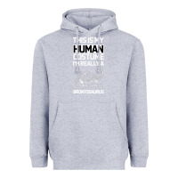 Heather Grey This Is My Human Costume Im Really A Brachiosaurus Heavyweight Hoodie - Bettercallsaul