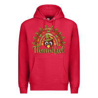 Cardinal Turkey rainbow thankful thanksgiving Premium Hoodie - NancyCooperArtShop