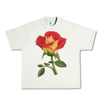 Pistachio Ketchup And Mustard Rose Urban Heavy Tee - LillyAllenDesigns