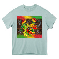 Arona free ish since 1865 Heavy Core Tee - BarkalooDesign