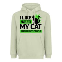 Matcha Cat Weed I Like My Cat Gift Heavyweight Hoodie - Bettercallsaul
