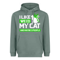 Sage Cat Weed I Like My Cat Gift Heavyweight Hoodie - Bettercallsaul