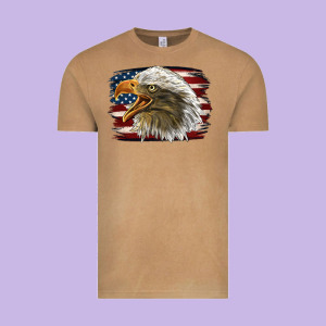 American Flag Eagle Vintage Tee Designed By Lillyallendesigns