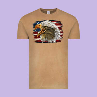 American Flag Eagle Vintage Tee Designed By Lillyallendesigns