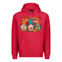 Cardinal Thanksgiving gnomes Premium Hoodie - NancyCooperArtShop