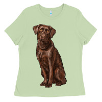 Matcha labrador retriever Ladies Tee - RanaPortraitStore