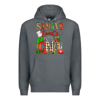 Rock santa's favorite cna Premium Hoodie - texasbilliewilder