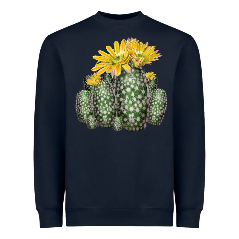 Texas Rainbow Cactus Heavyweight Sweatshirt by LillyAllenDesigns | Teevron